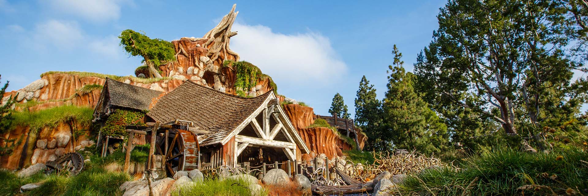 dlr activities 22; Splash Mountain; daytime