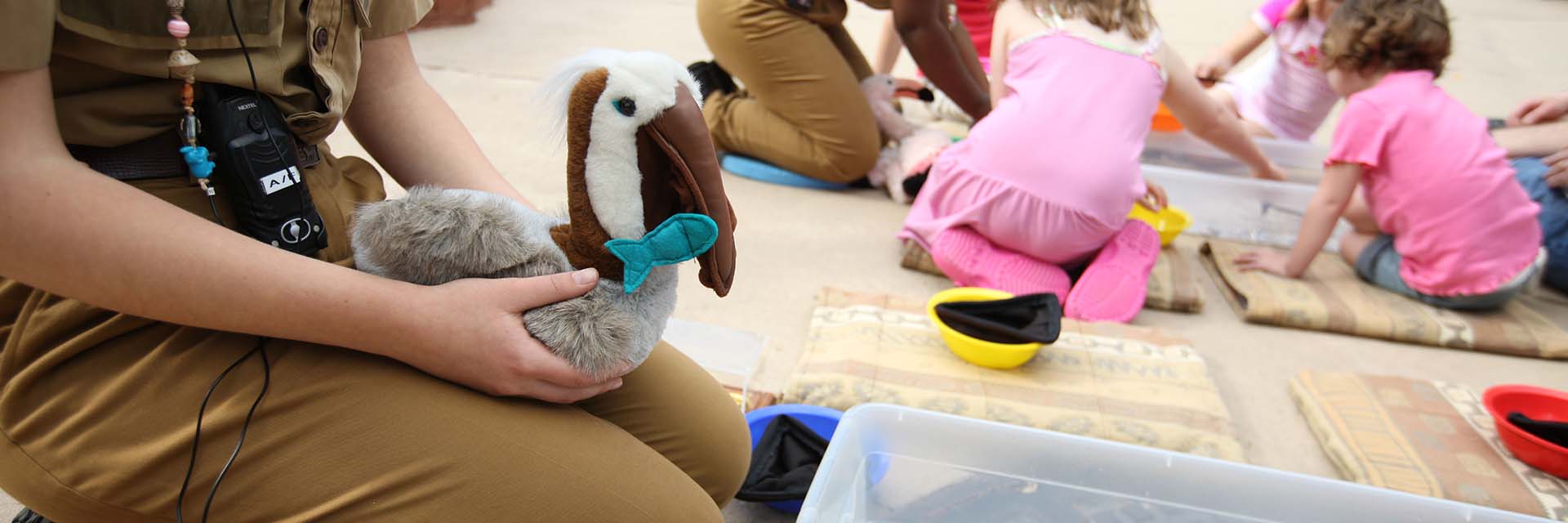 Animal Kingdom Lodge