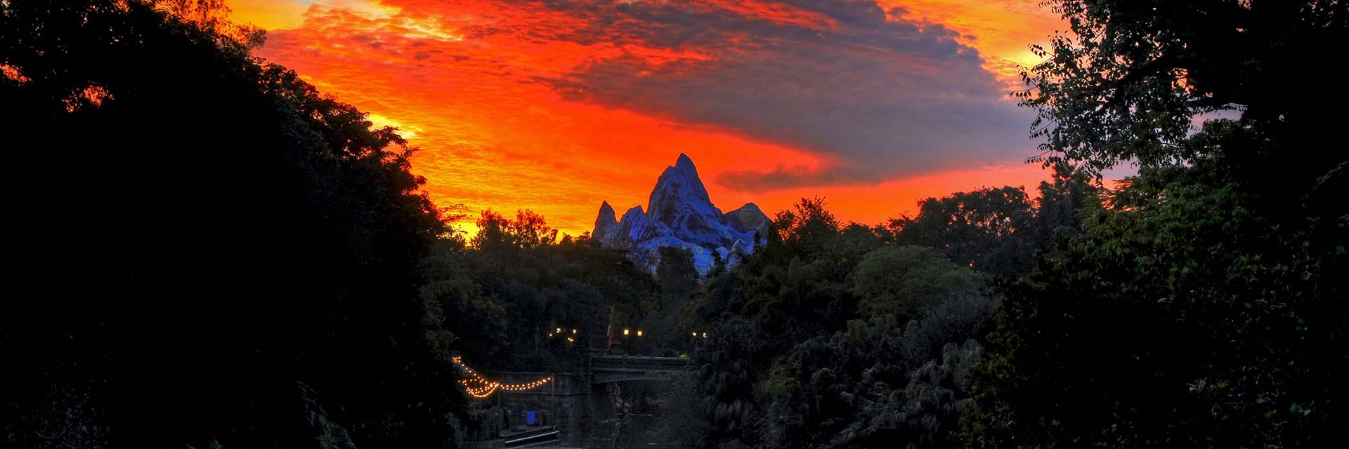 Sunset at Disney's Animal Kingdom