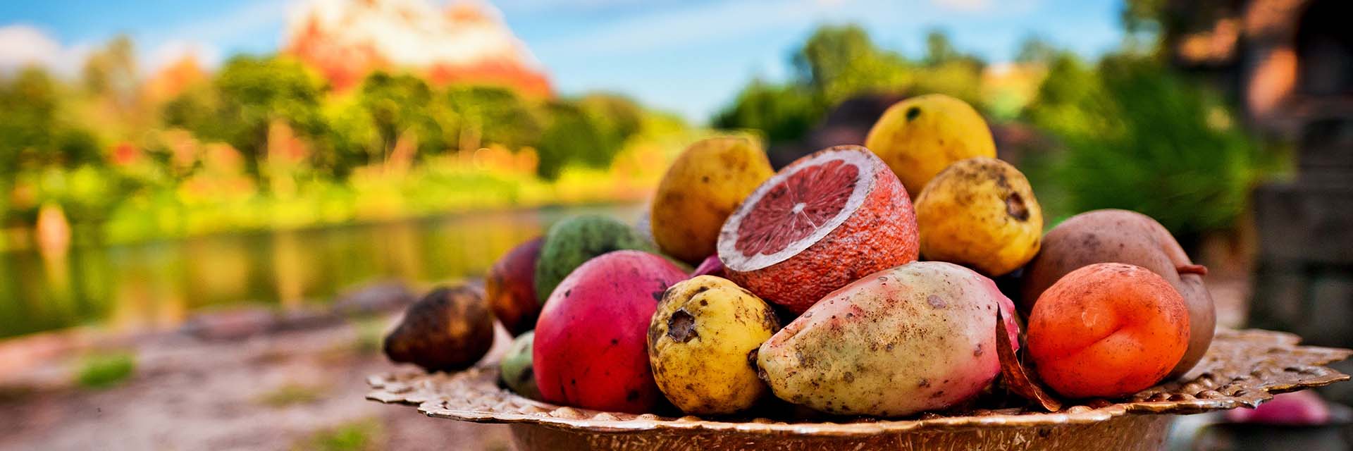 Expedition Everest; Animal Kingdom Asia; mango; grapefruit; peach