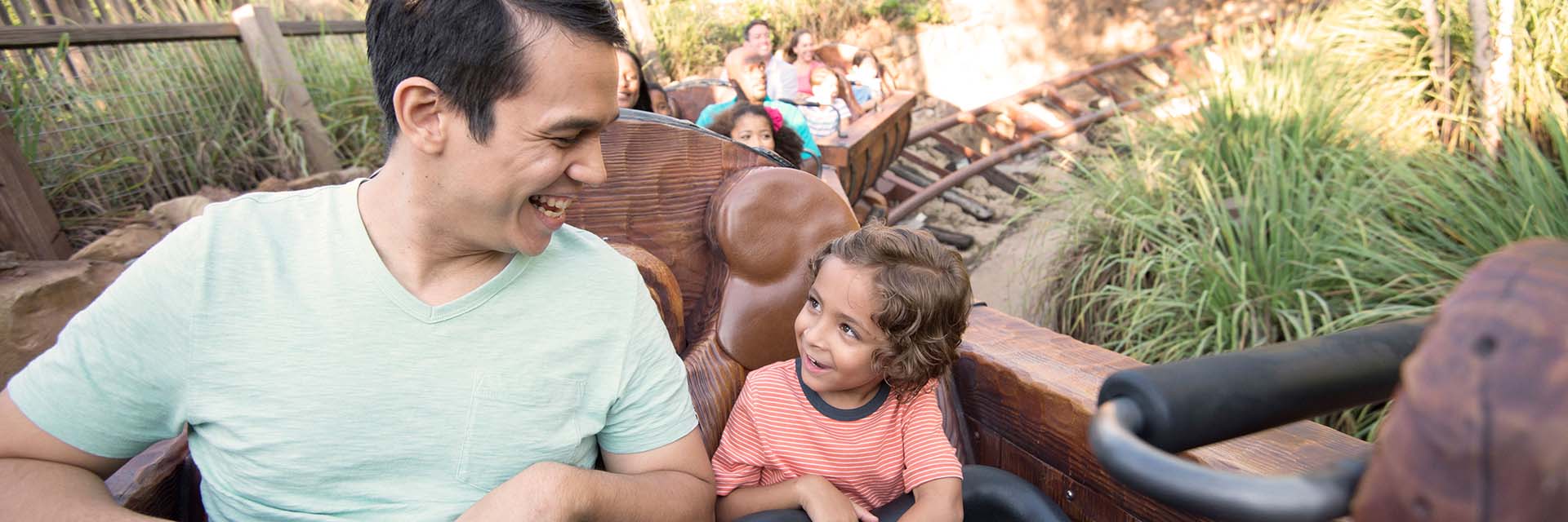 Seven Dwarfs Mine Train; Magic Kingdom