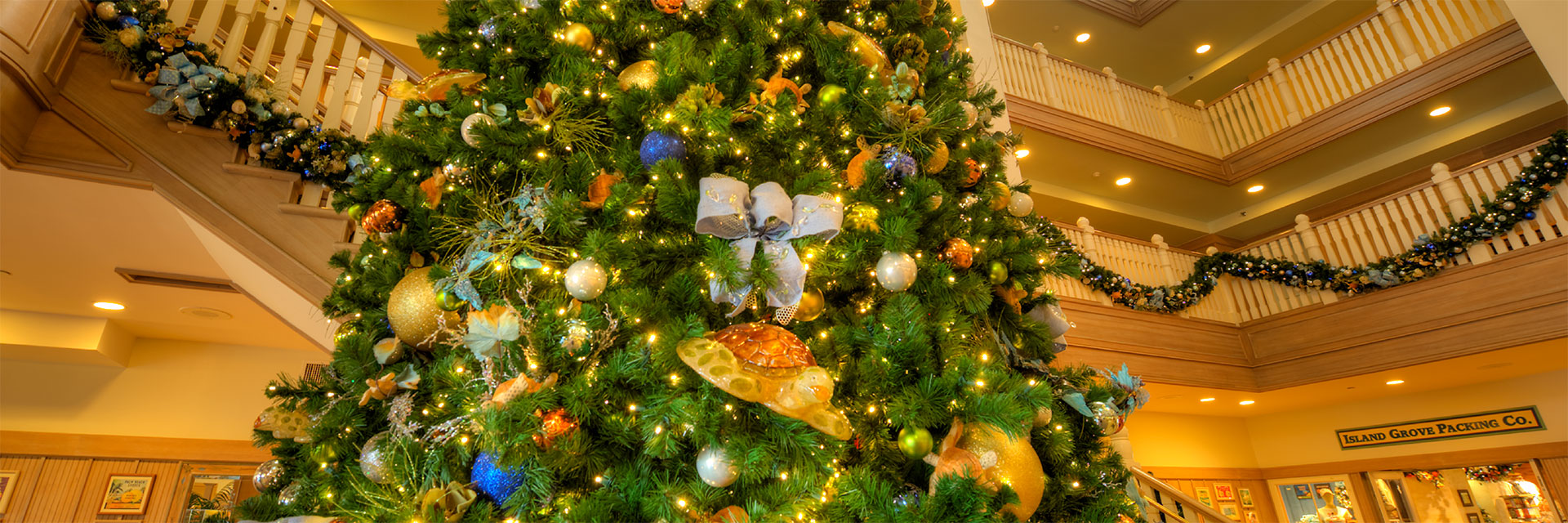 Christmas Tree in Disney Hotel