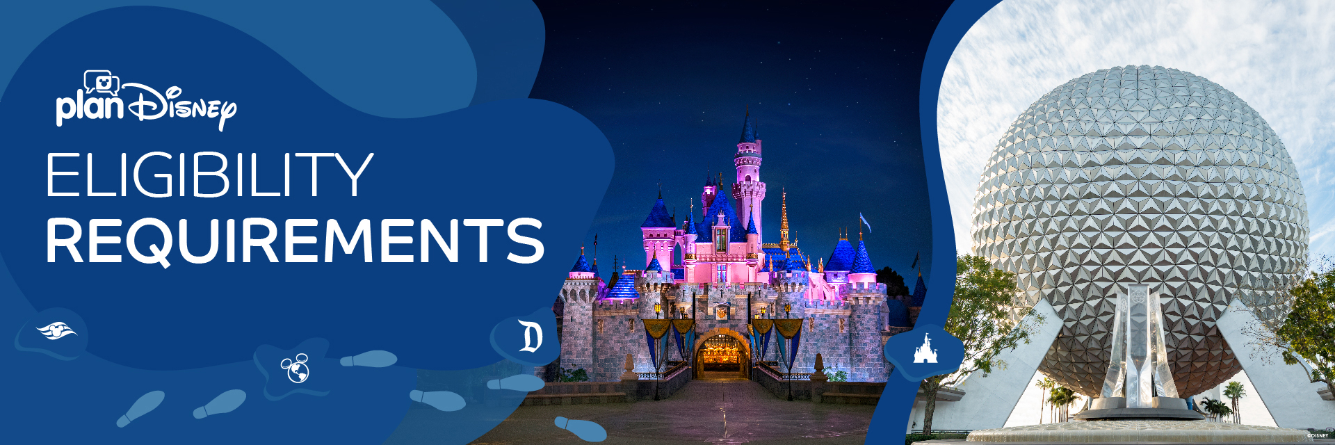 Panel Requirements planDisney